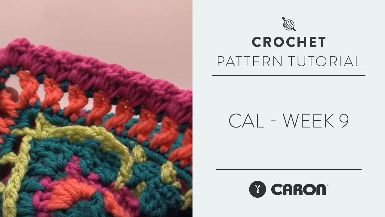 Image of CAL - Week 9 thumbnail