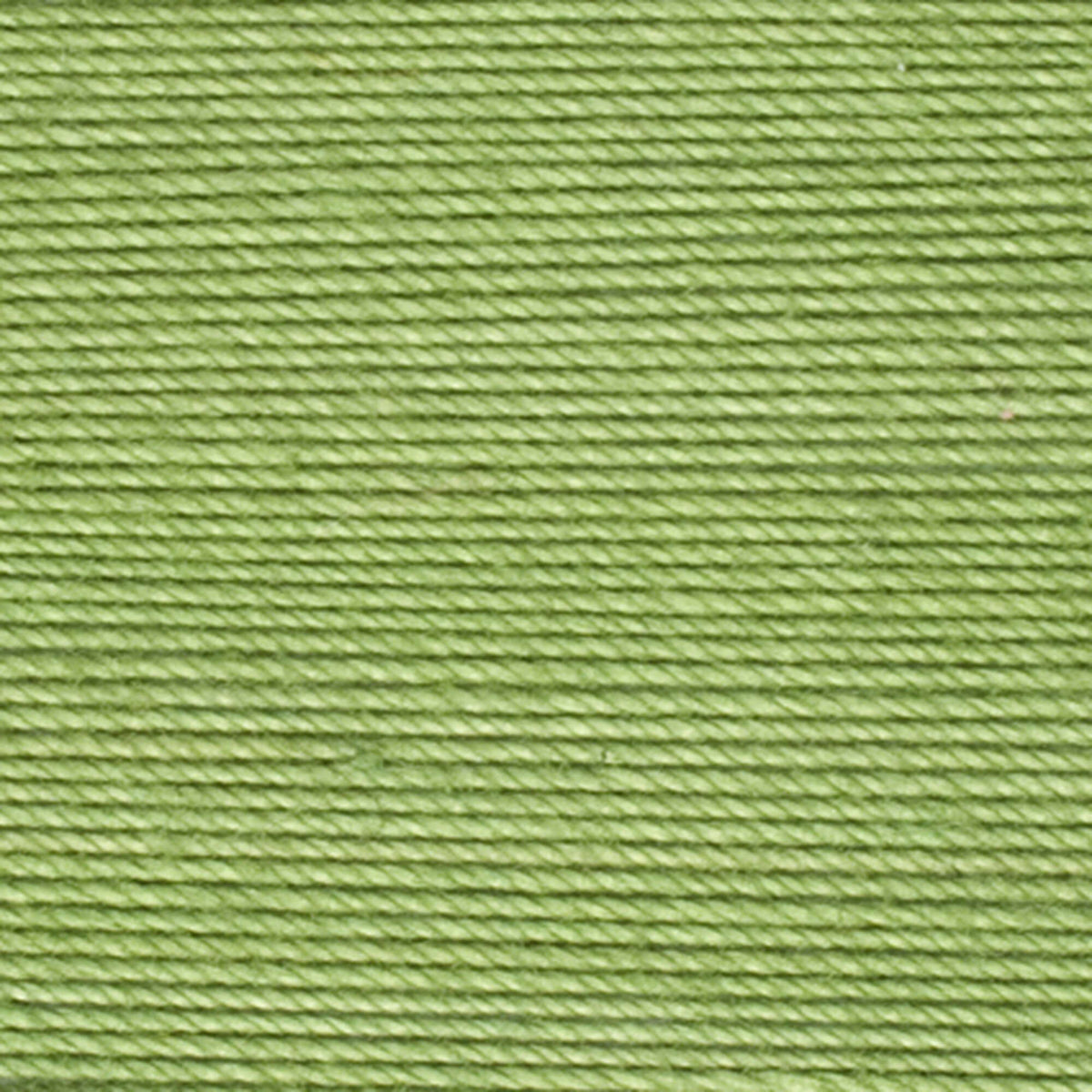 Wasabi