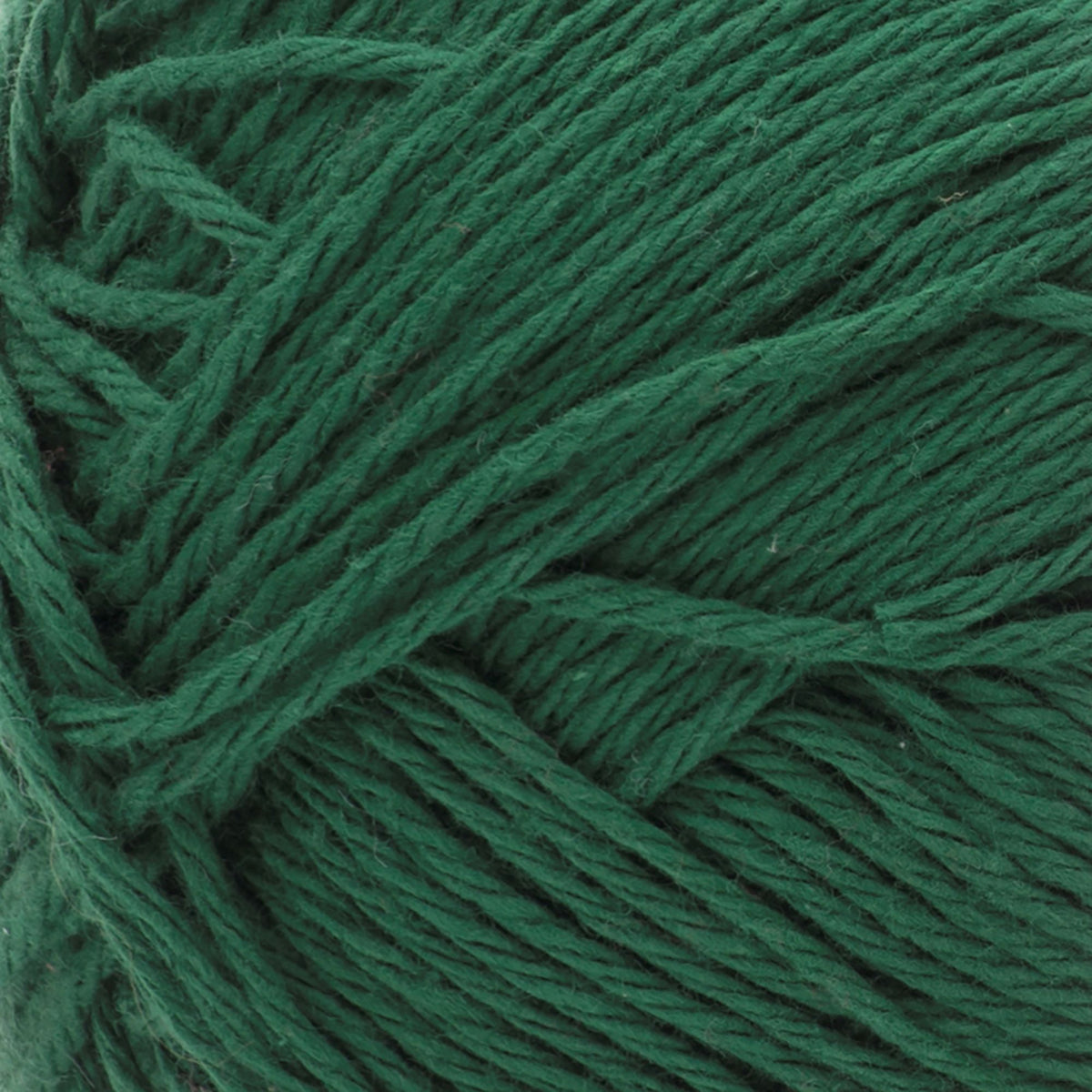 Dark Pine