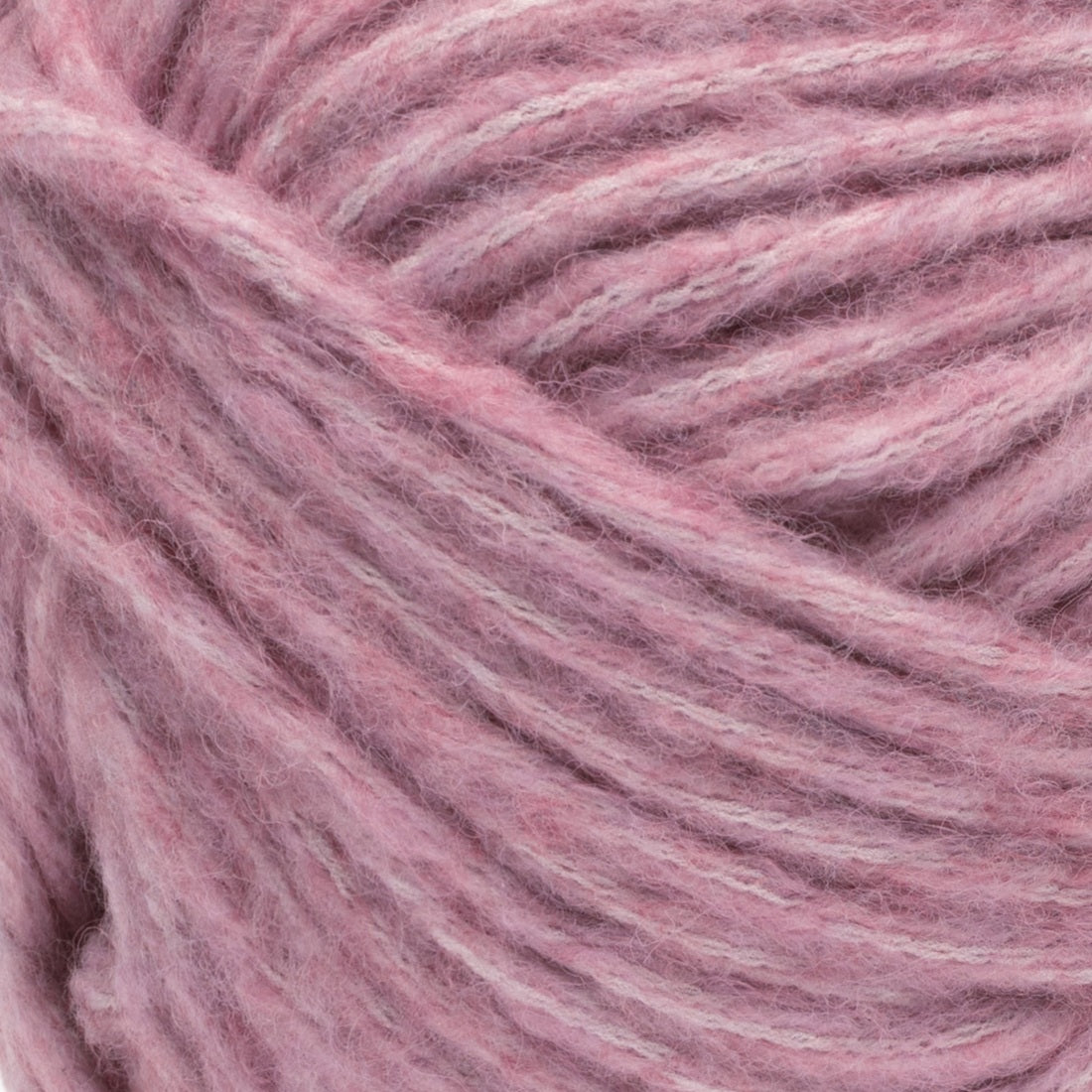 Desert Rose
