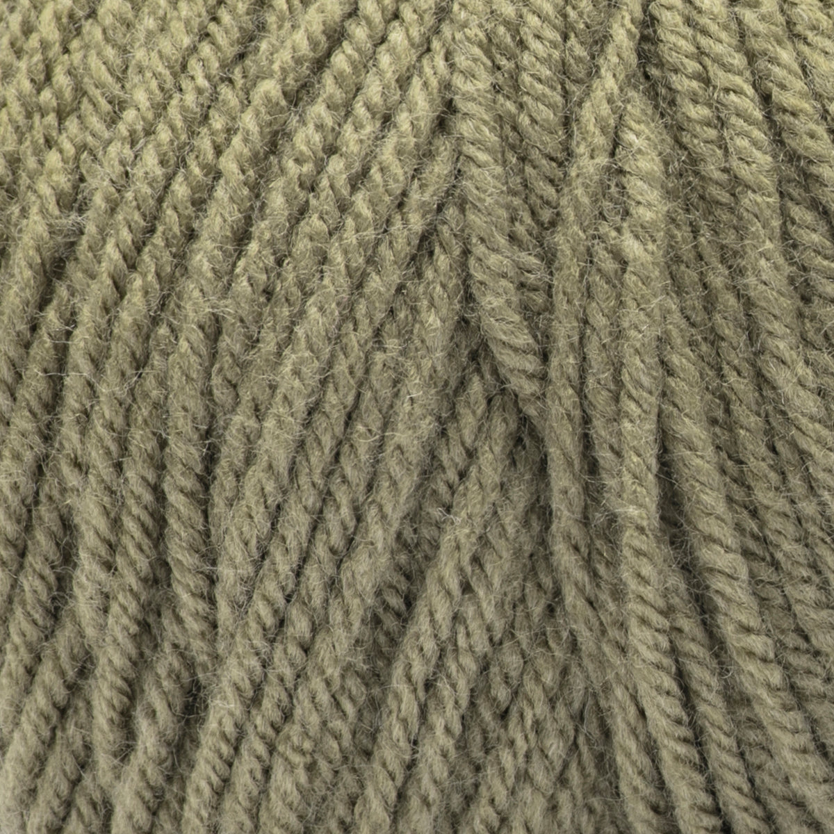 Moss