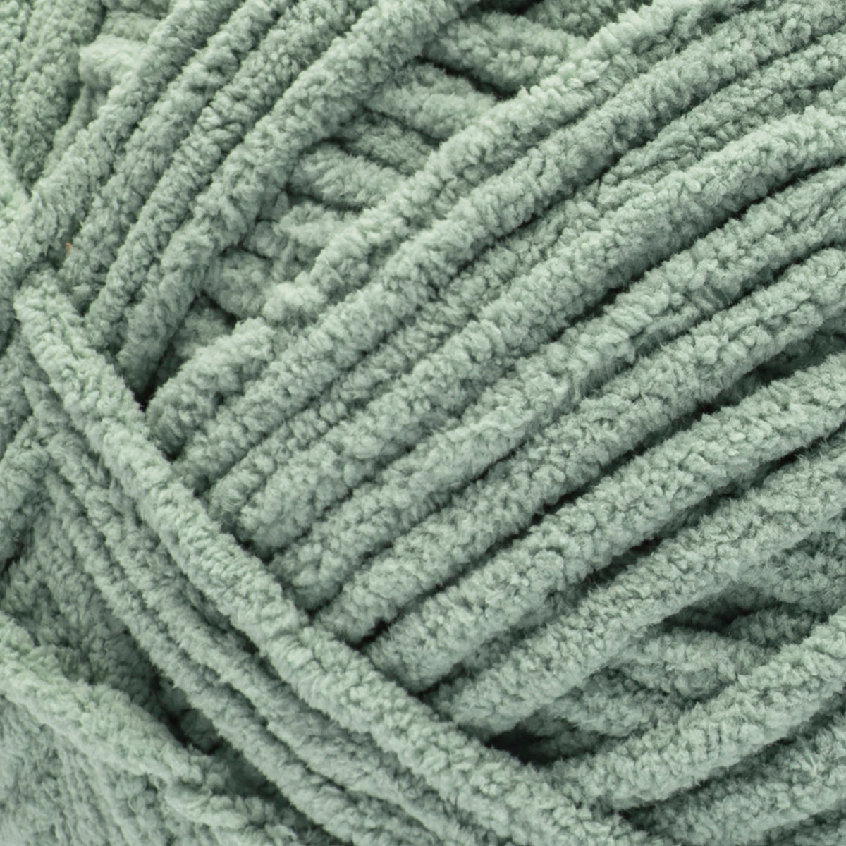 Lichen