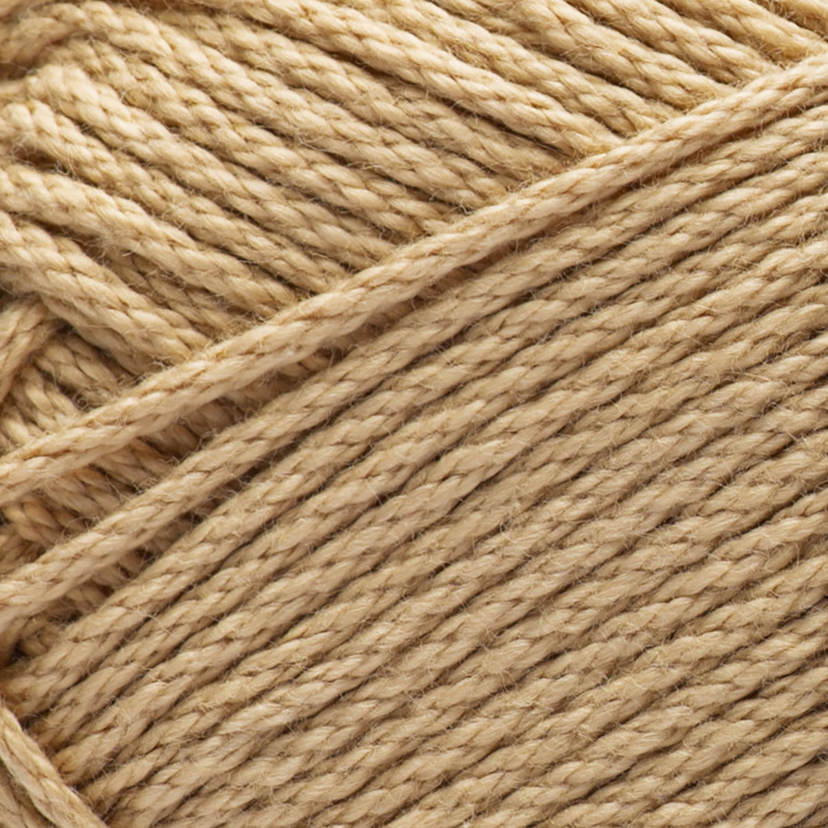 Jute