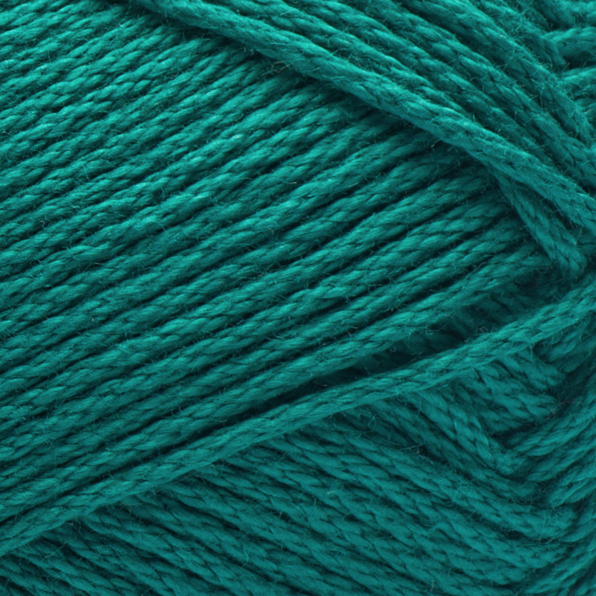Bermuda Teal