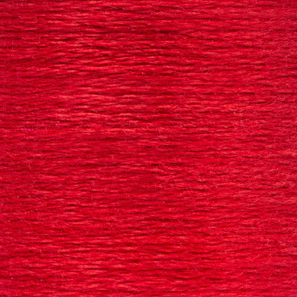 0019 Burgundy Medium