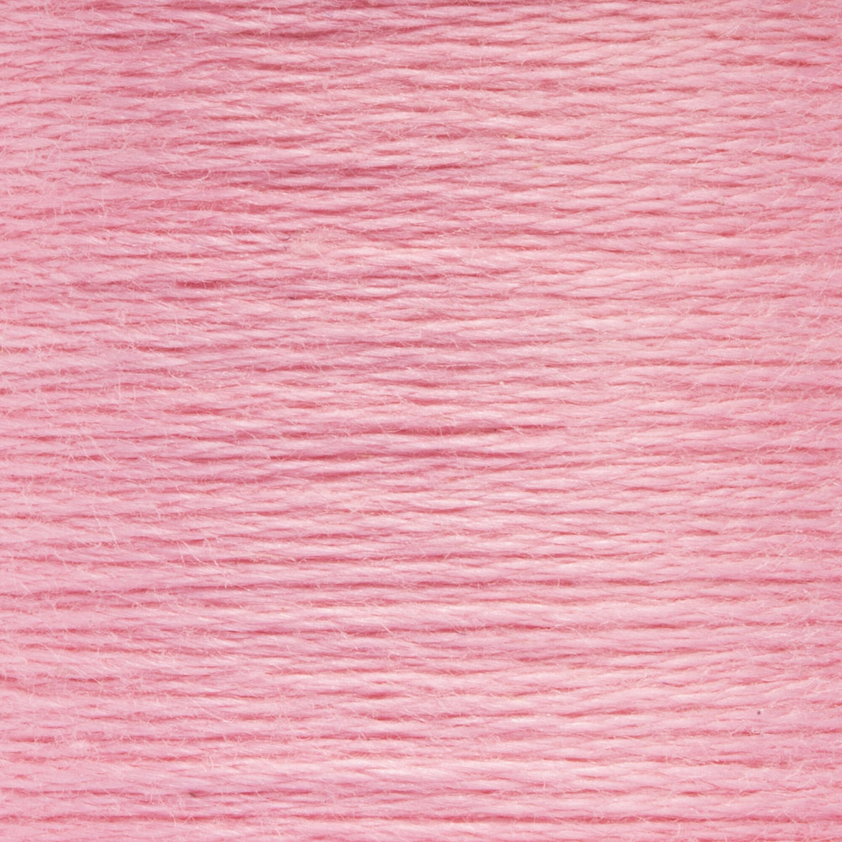 0025 Carnation Light