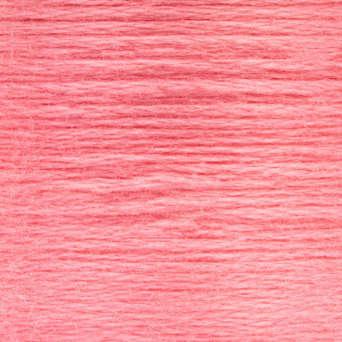 0026 Carnation Medium Light