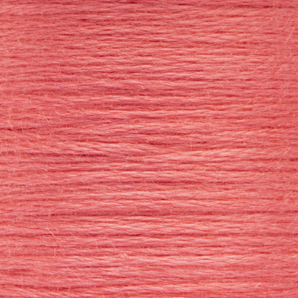 0033 Blush Medium