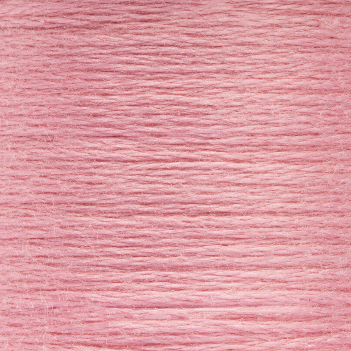 0036 Blossom Pink Light