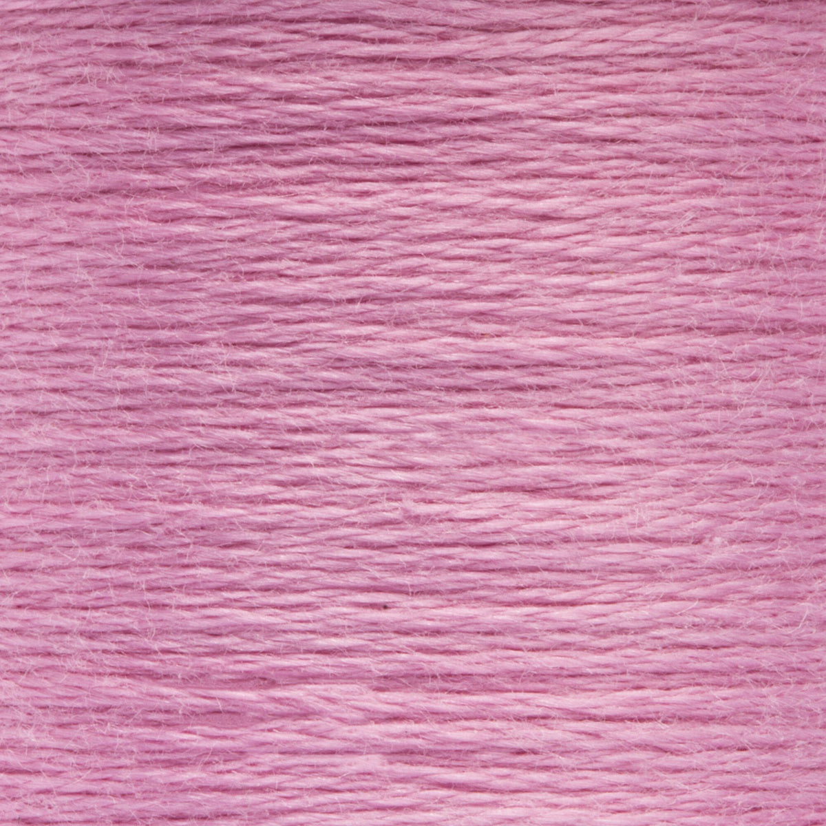 0060 Magenta Light