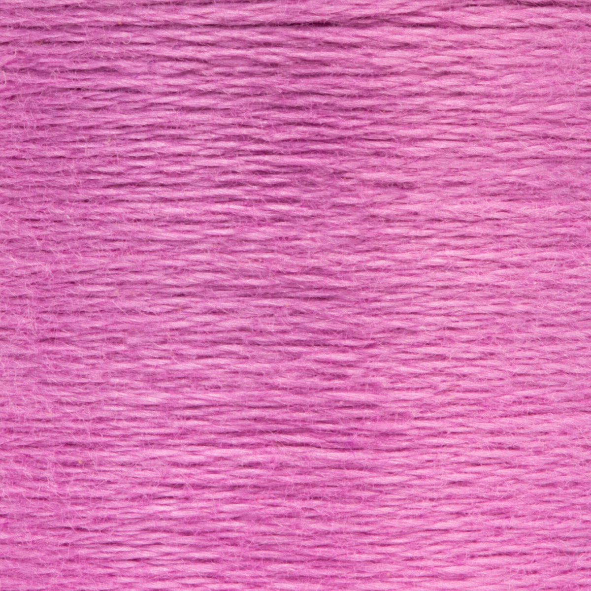 0086 Orchid Medium Light