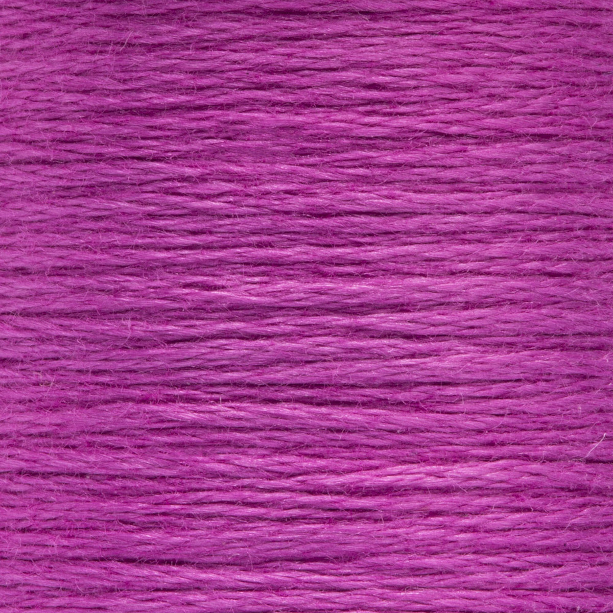 0087 Orchid Medium