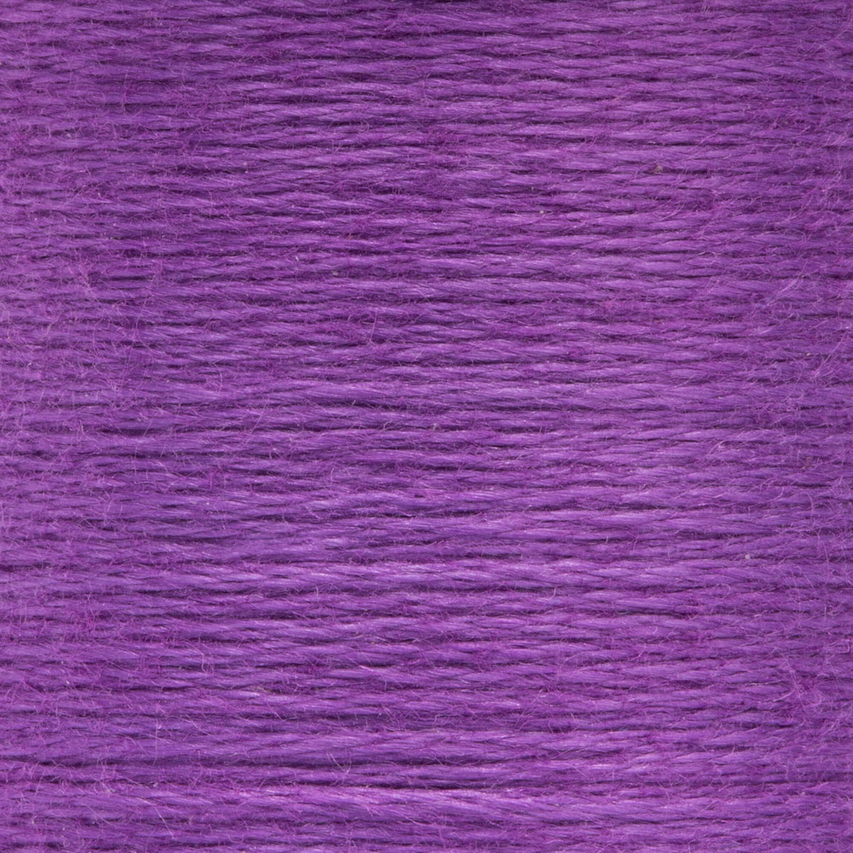 0099 Violet