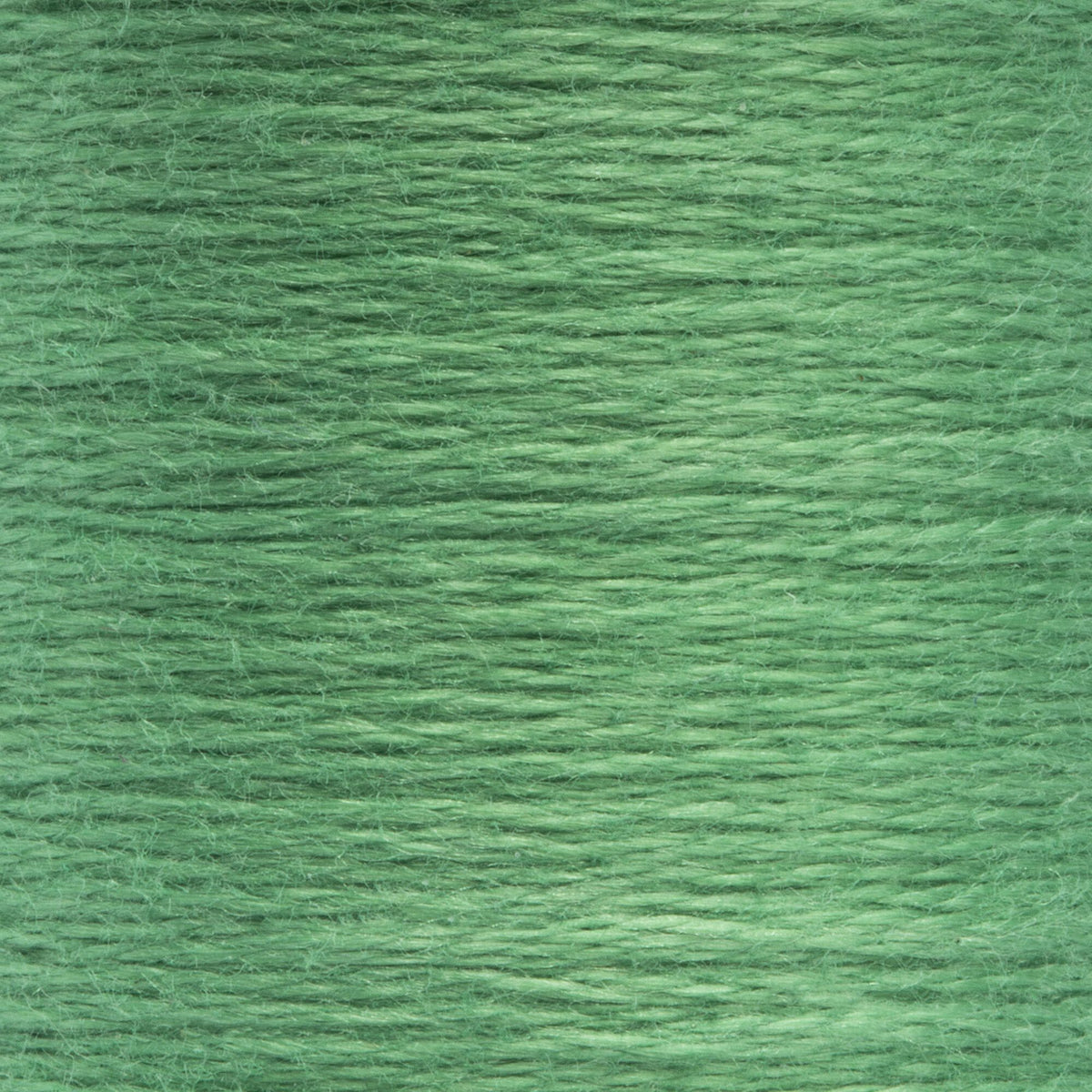 0209 Spruce
