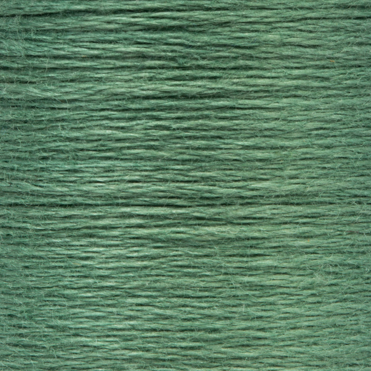 0216 Juniper Medium