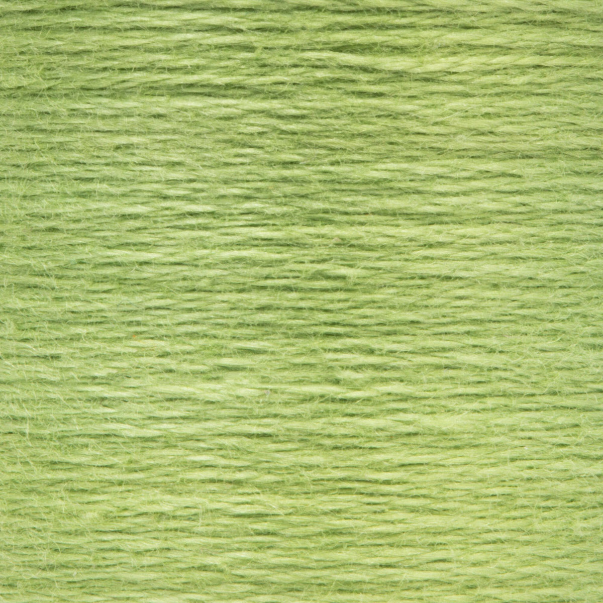 0265 Avocado Light