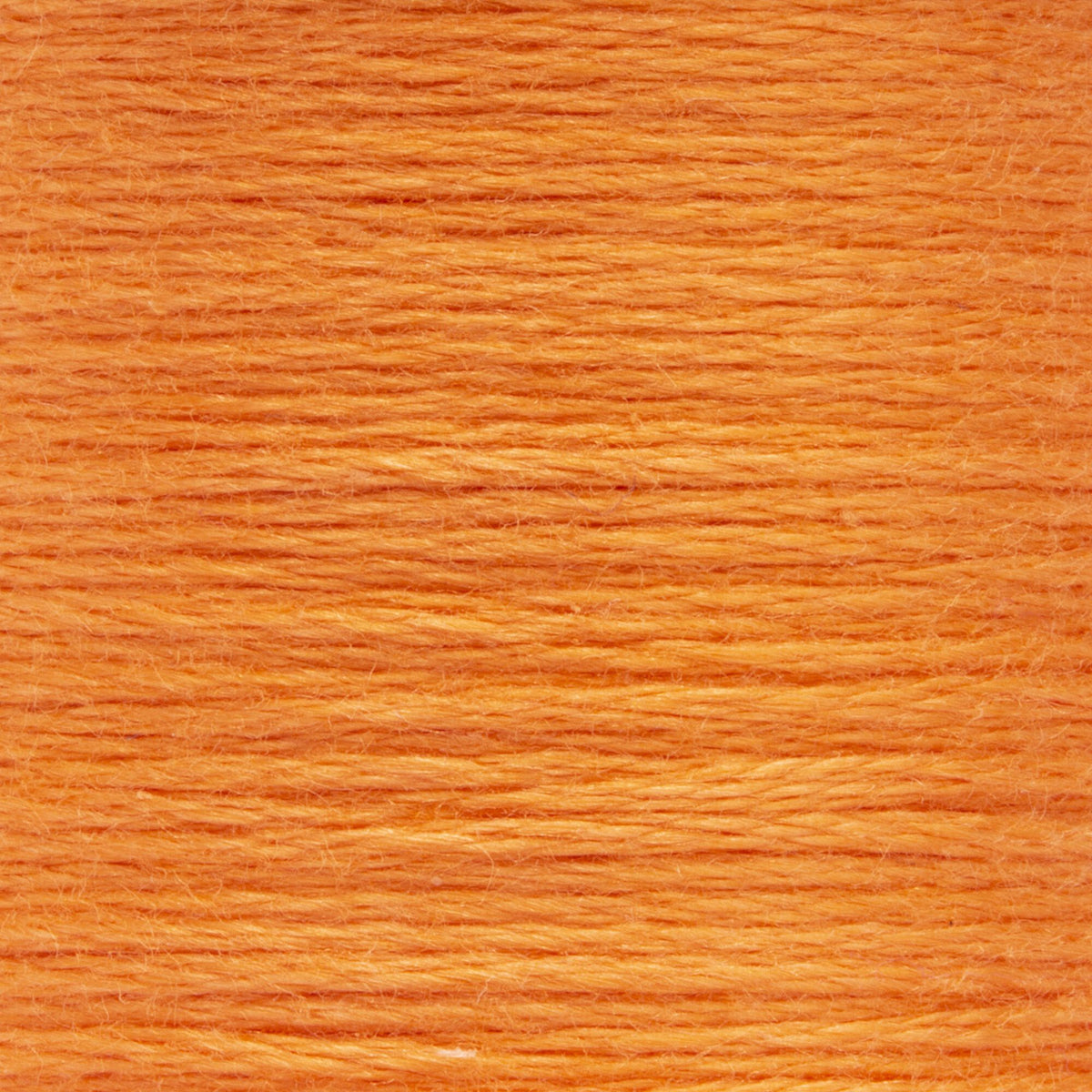 0323 Apricot Light