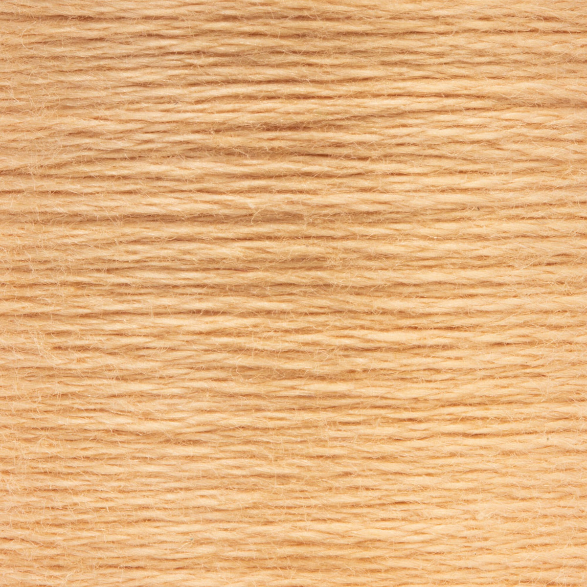 0361 Nutmeg Light