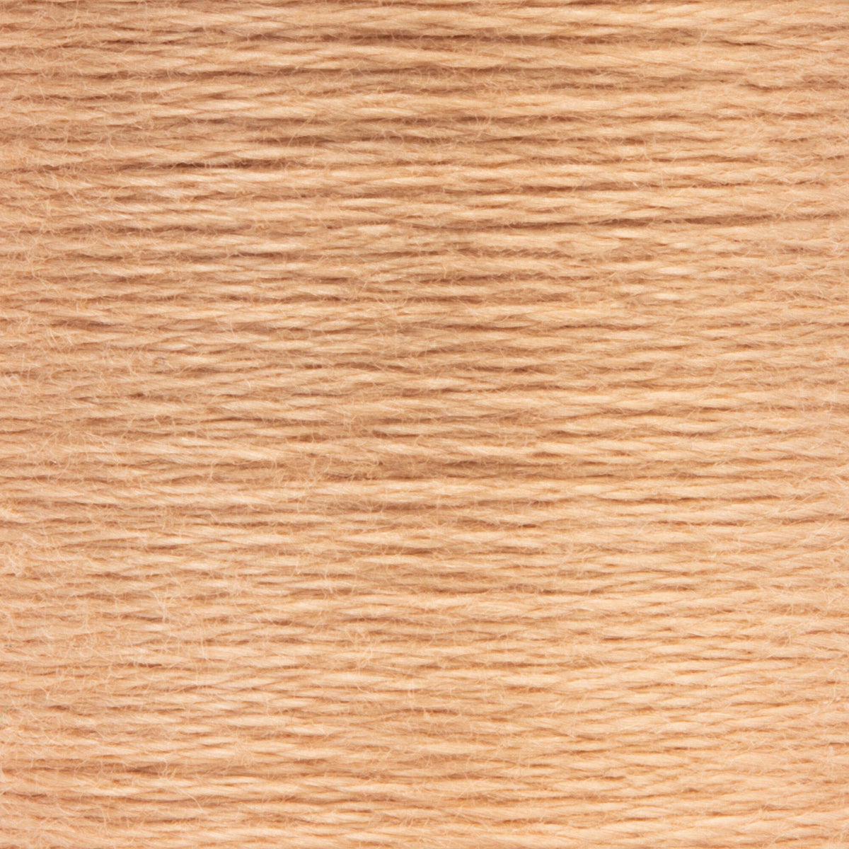 0367 Spice Light
