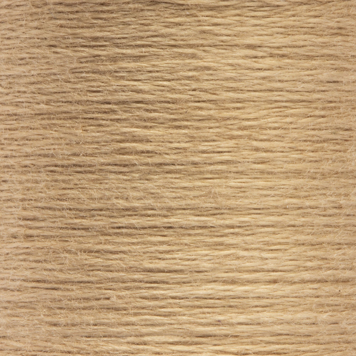 0372 Desert Light