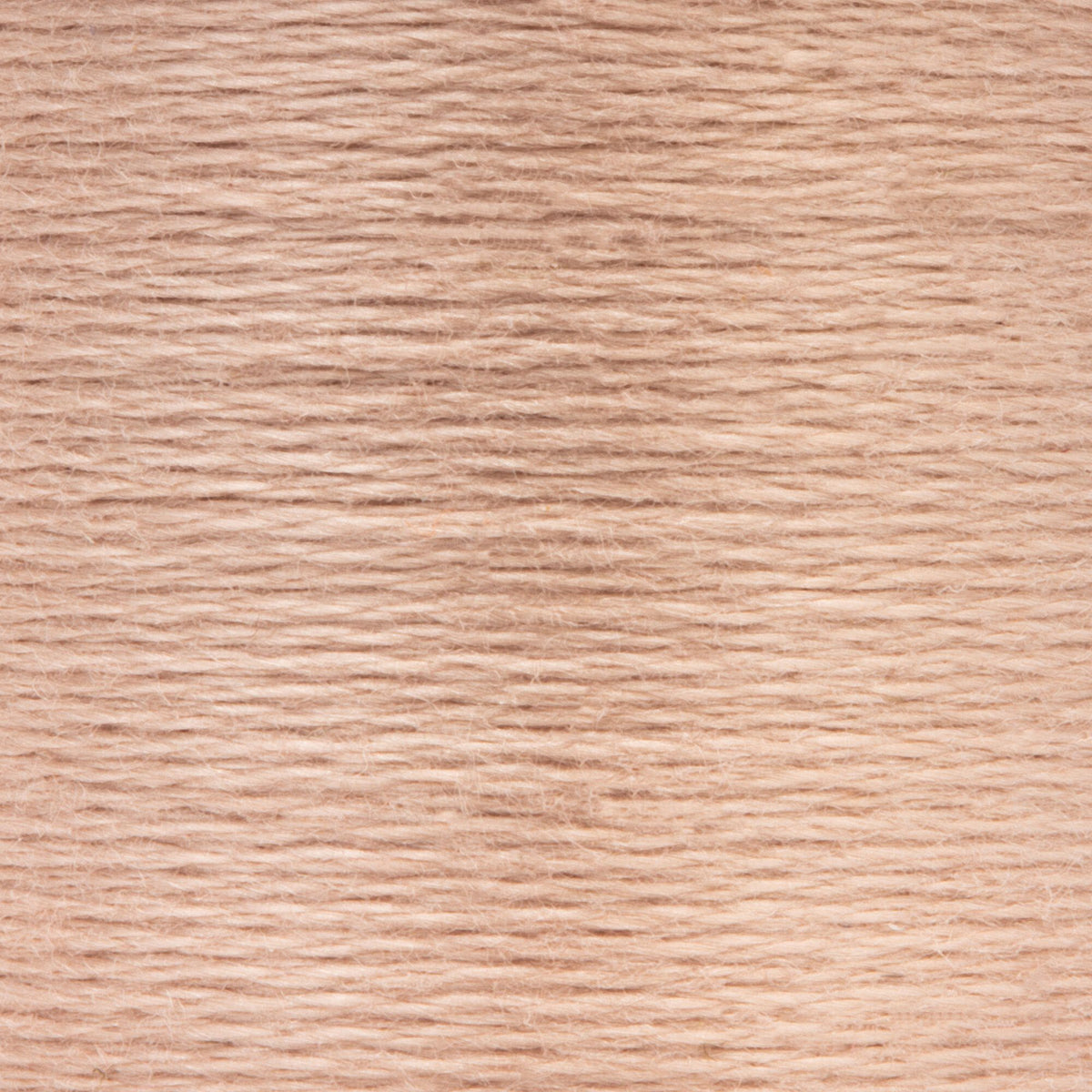 0376 Fawn Light