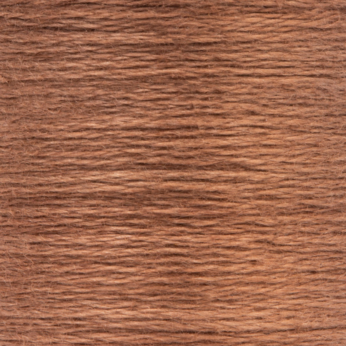 0379 Fawn Dark