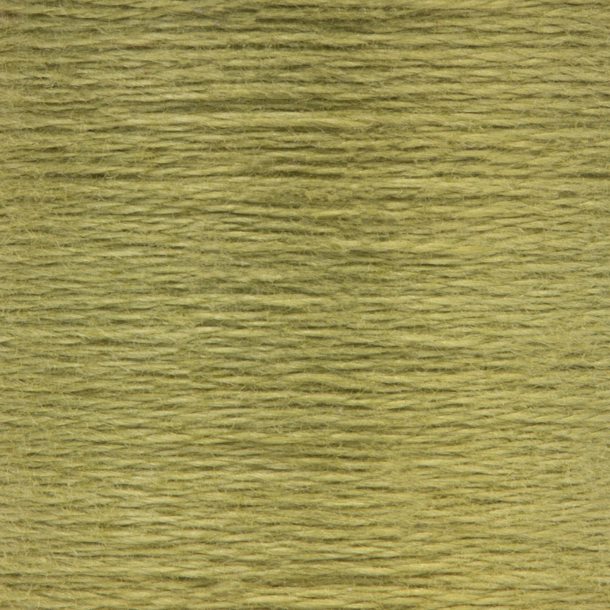 0843 Fern Green