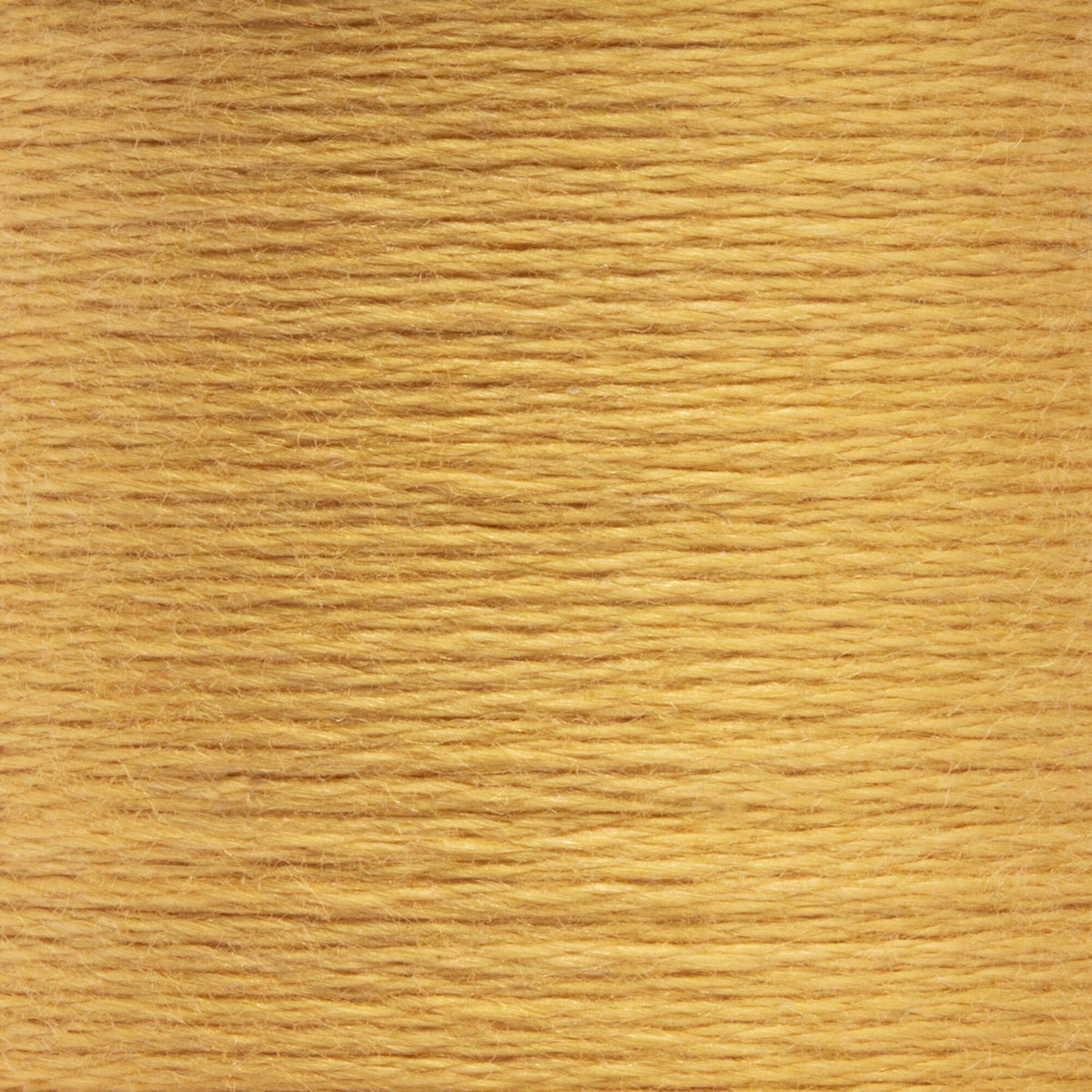 0891 Brass