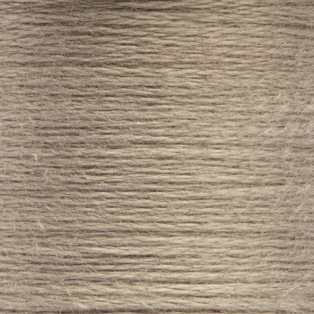 0899 Tawny Light