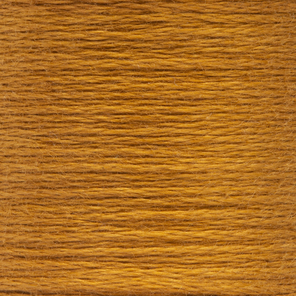 0901 Brass Medium