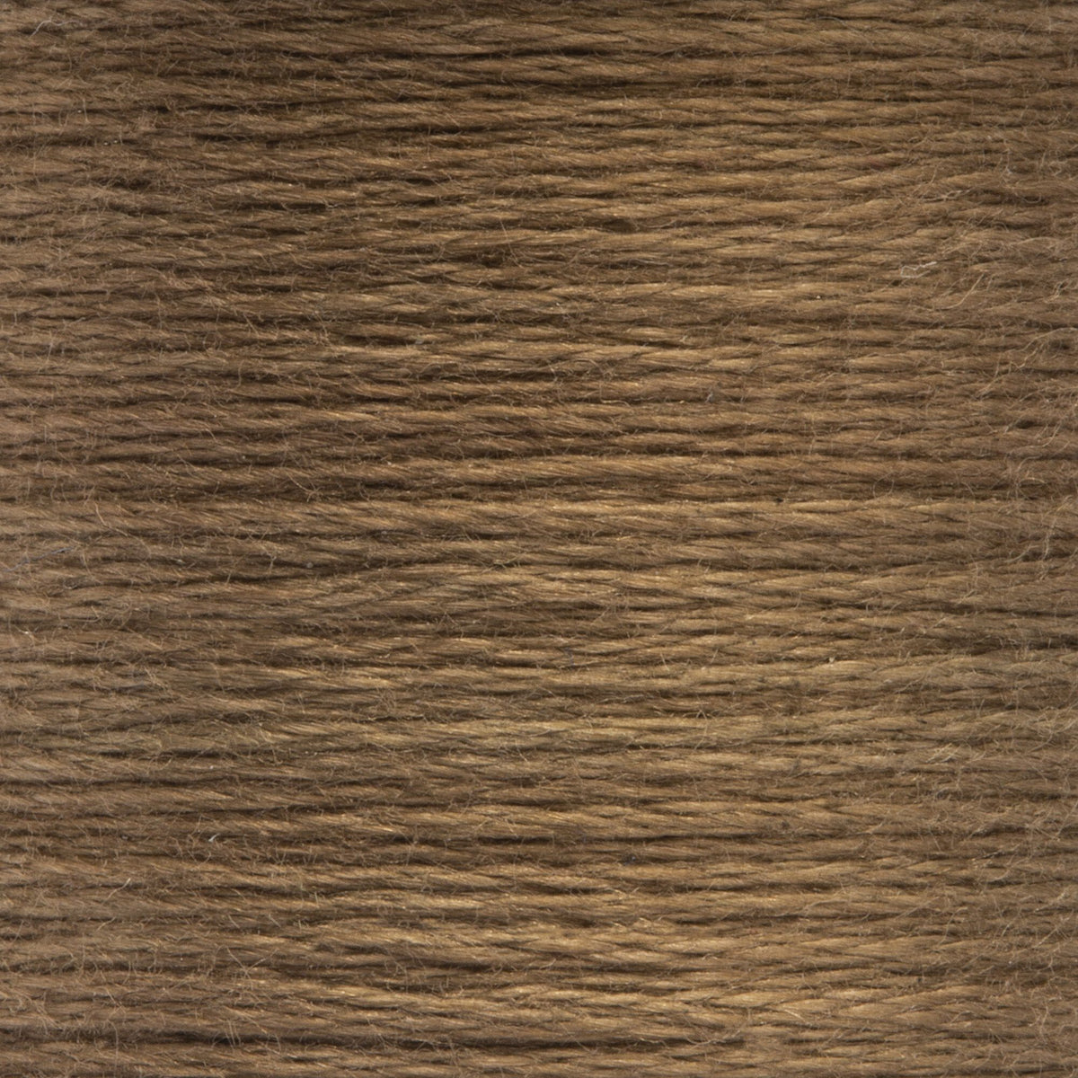 0903 Tawny Medium