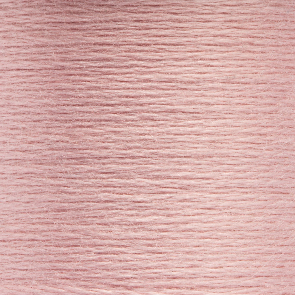 1021 Peony Light