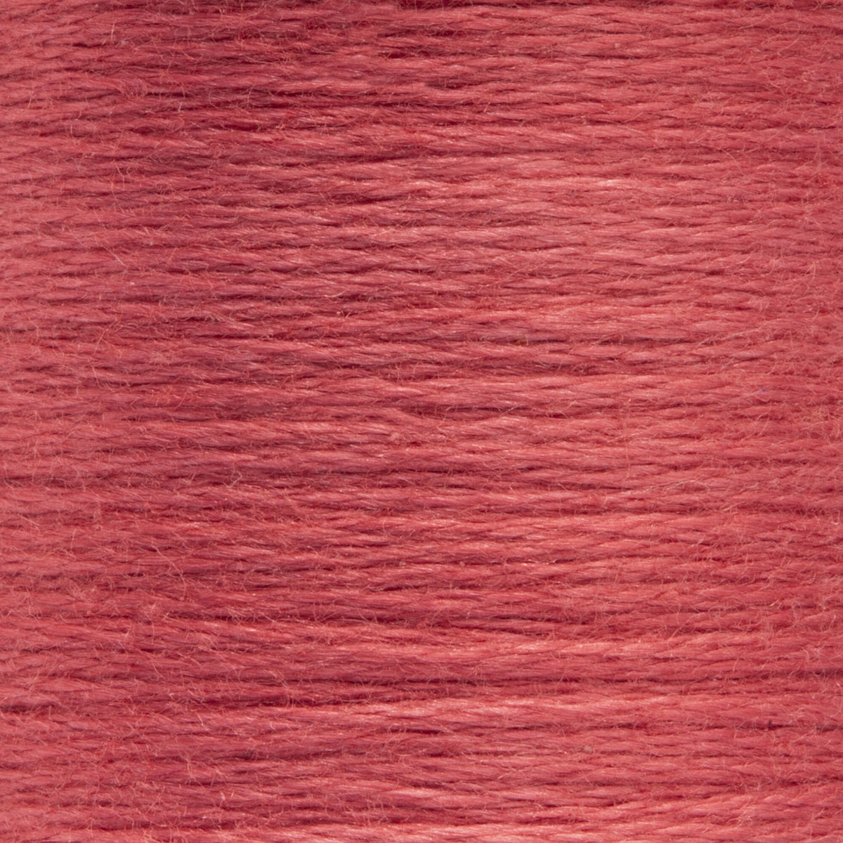 1024 Peony Medium