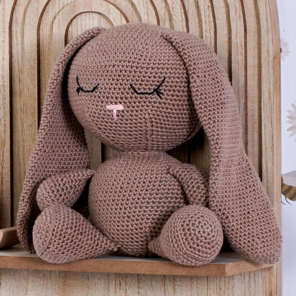 Crochet Toy made in Aunt Lydia's Thread