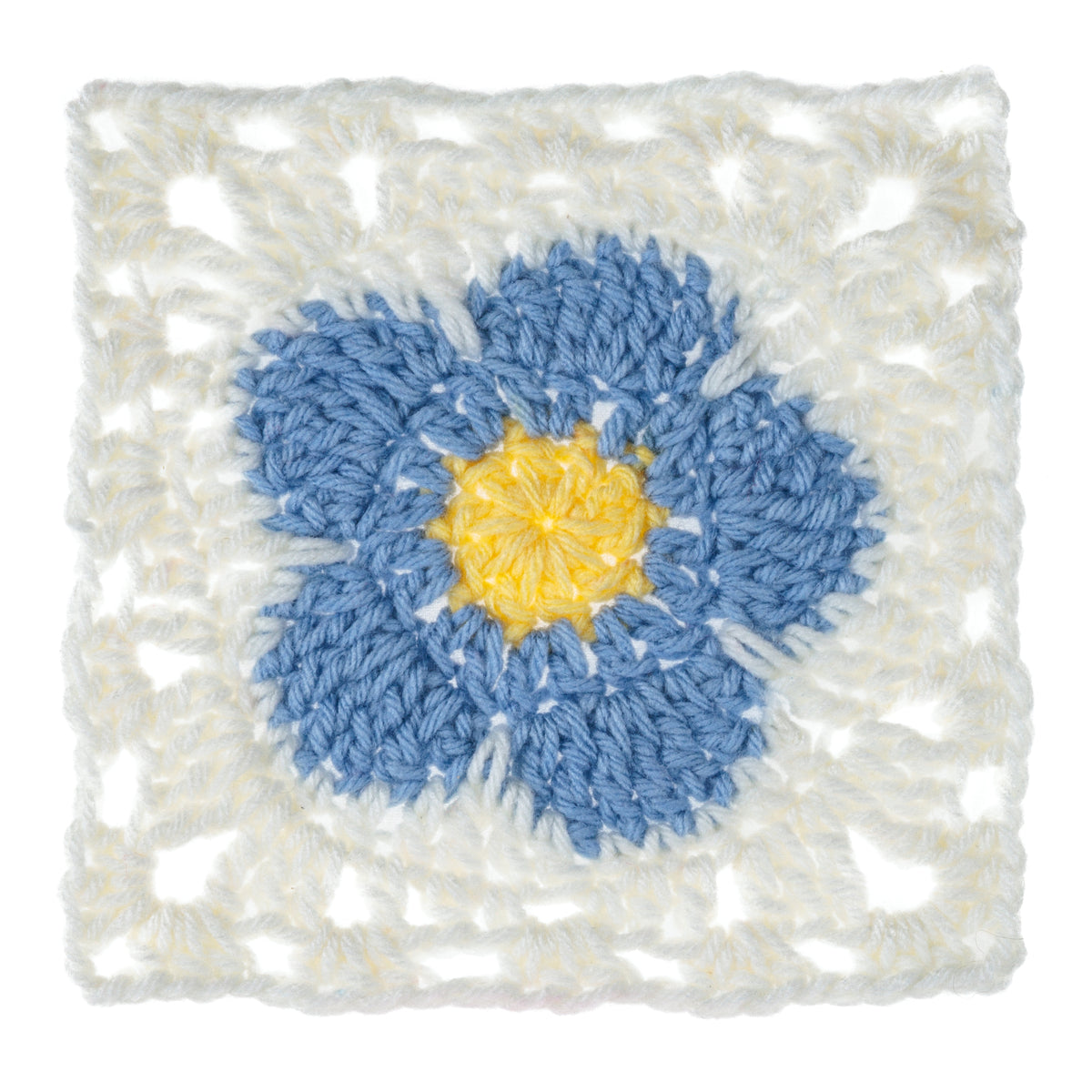 Forget Me Not