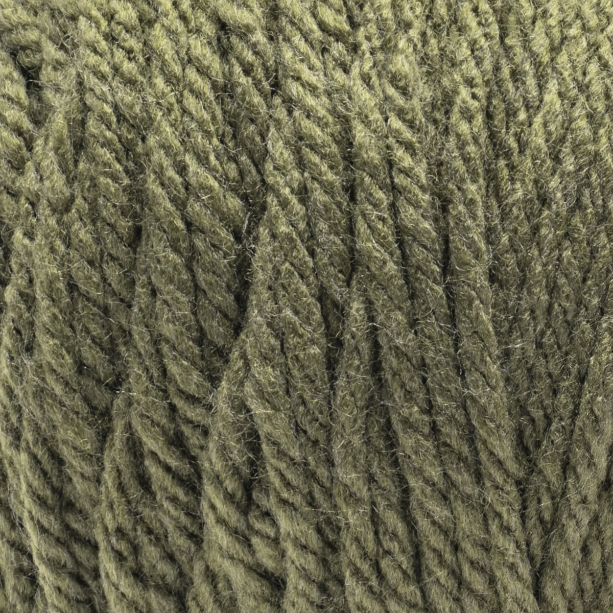 Moss