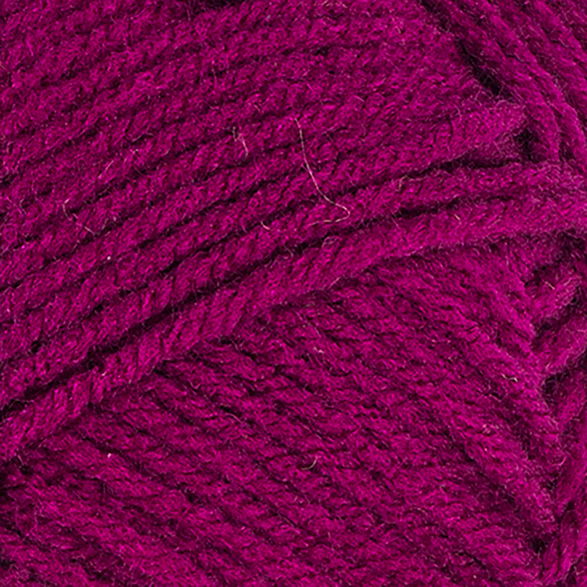 Boysenberry