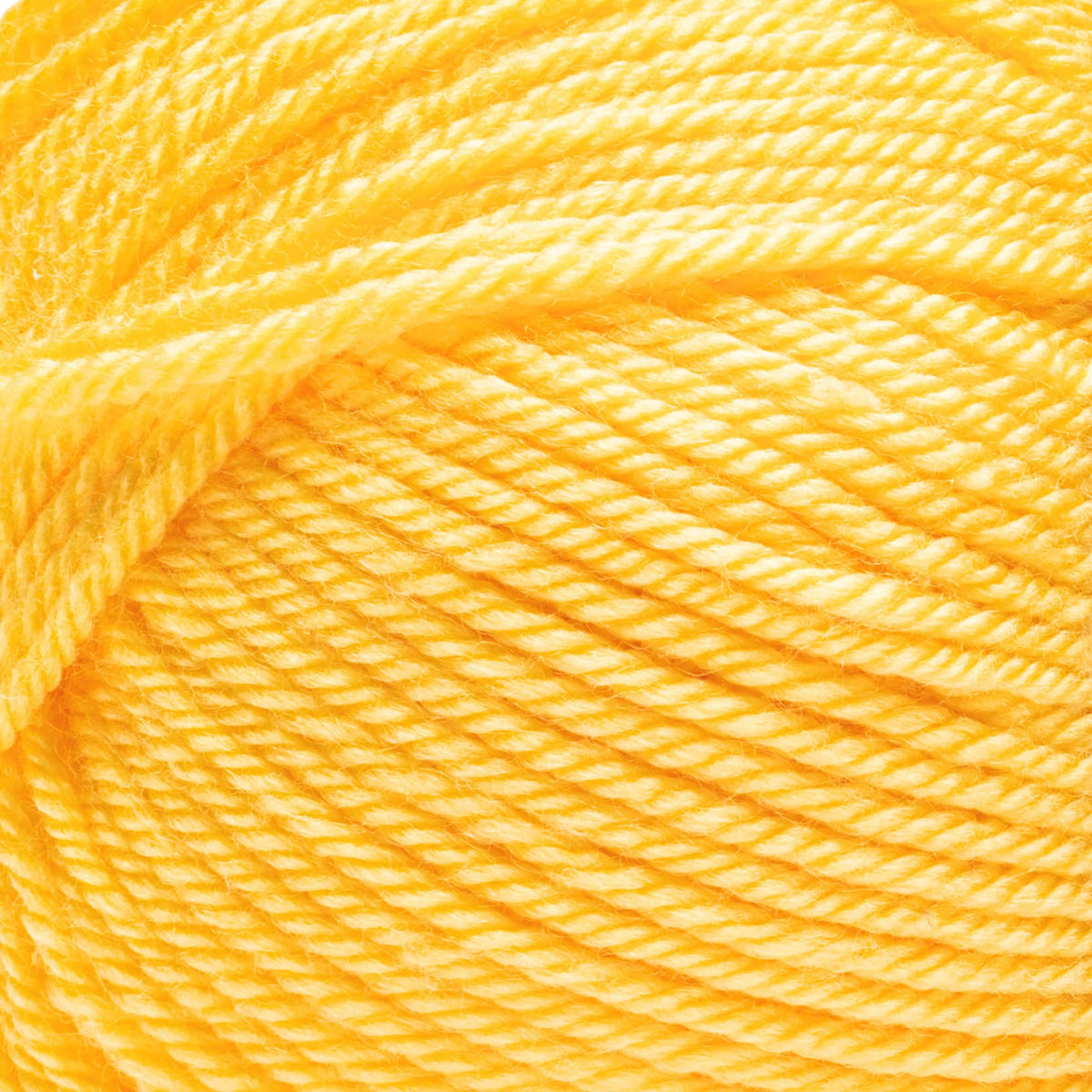 Daffodil