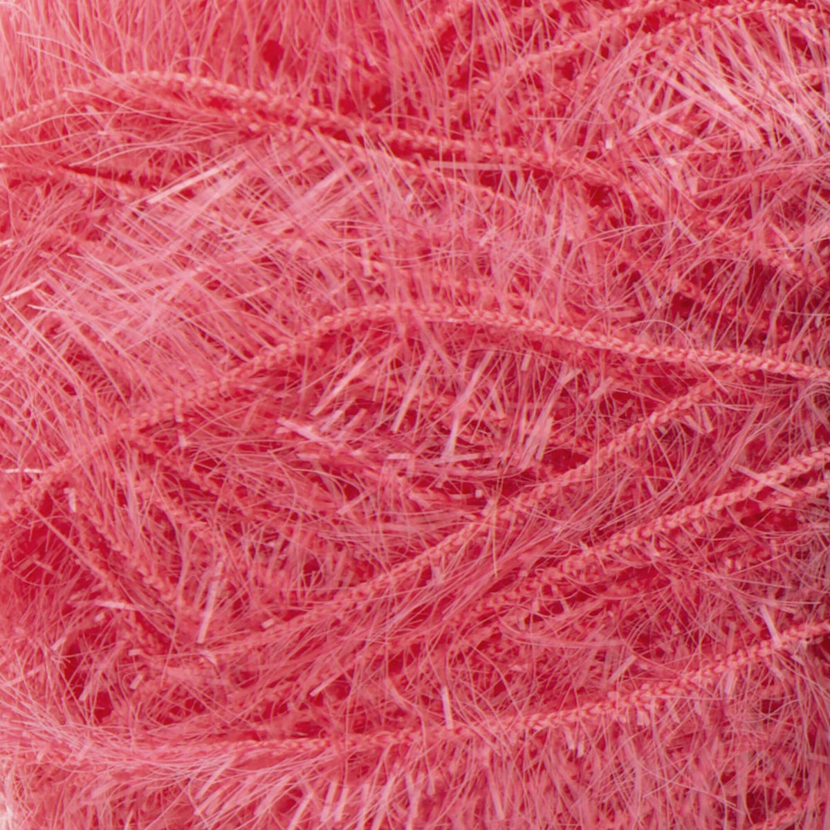Guava