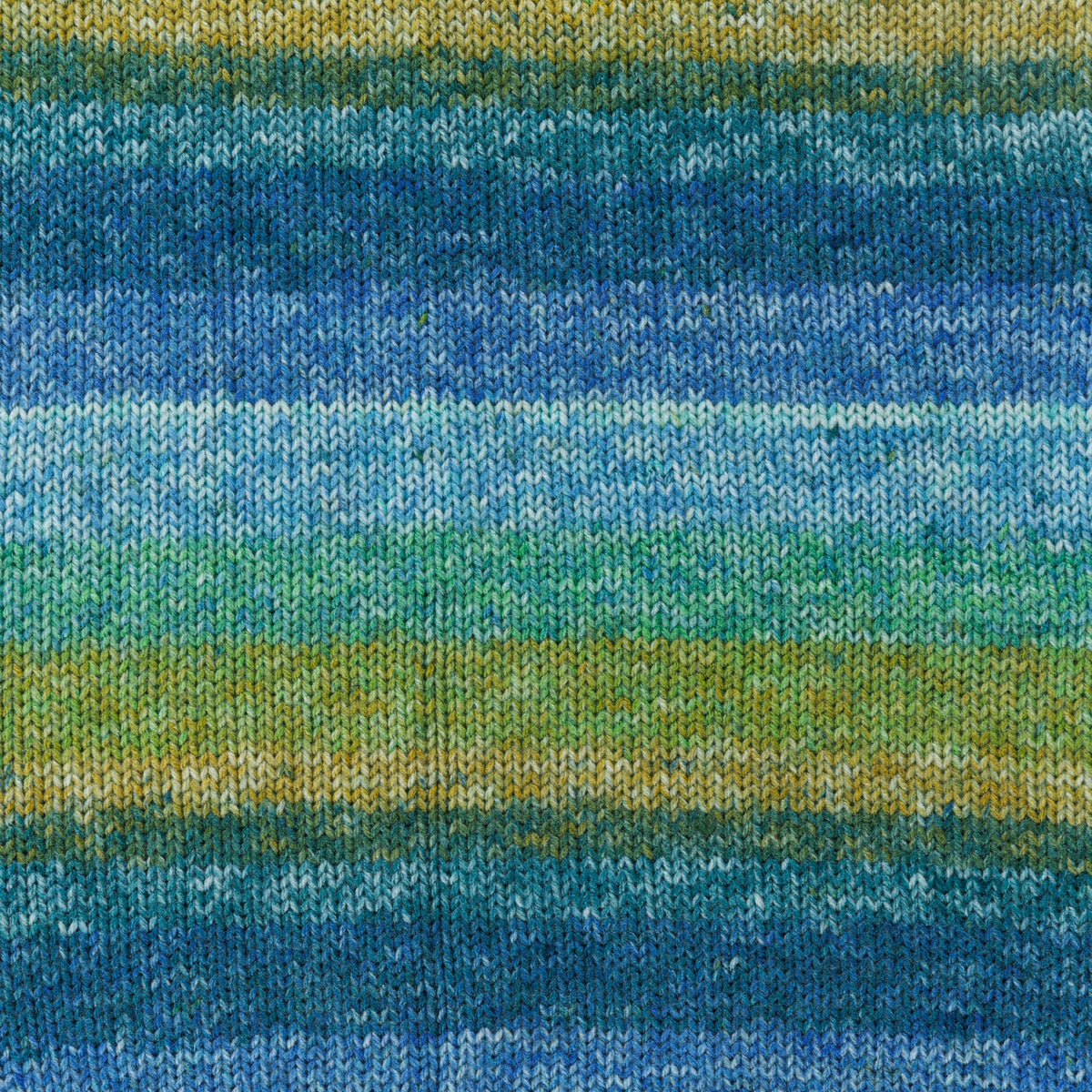 Lilypad