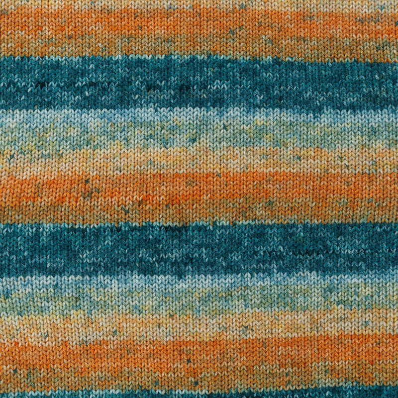 Coral Reef