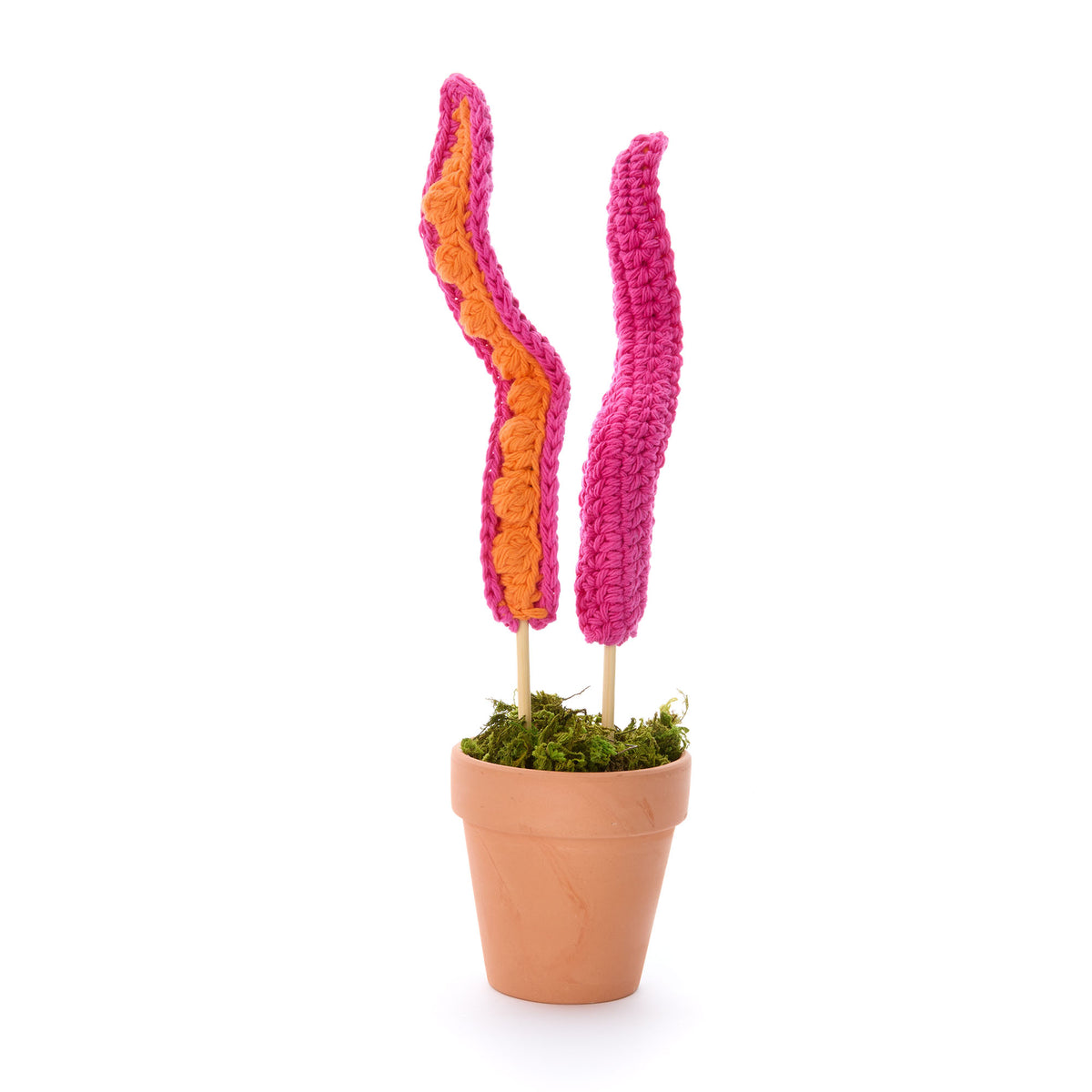 Crochet Plant Tentacles made using Lily yarn in a styled lifestyle setting