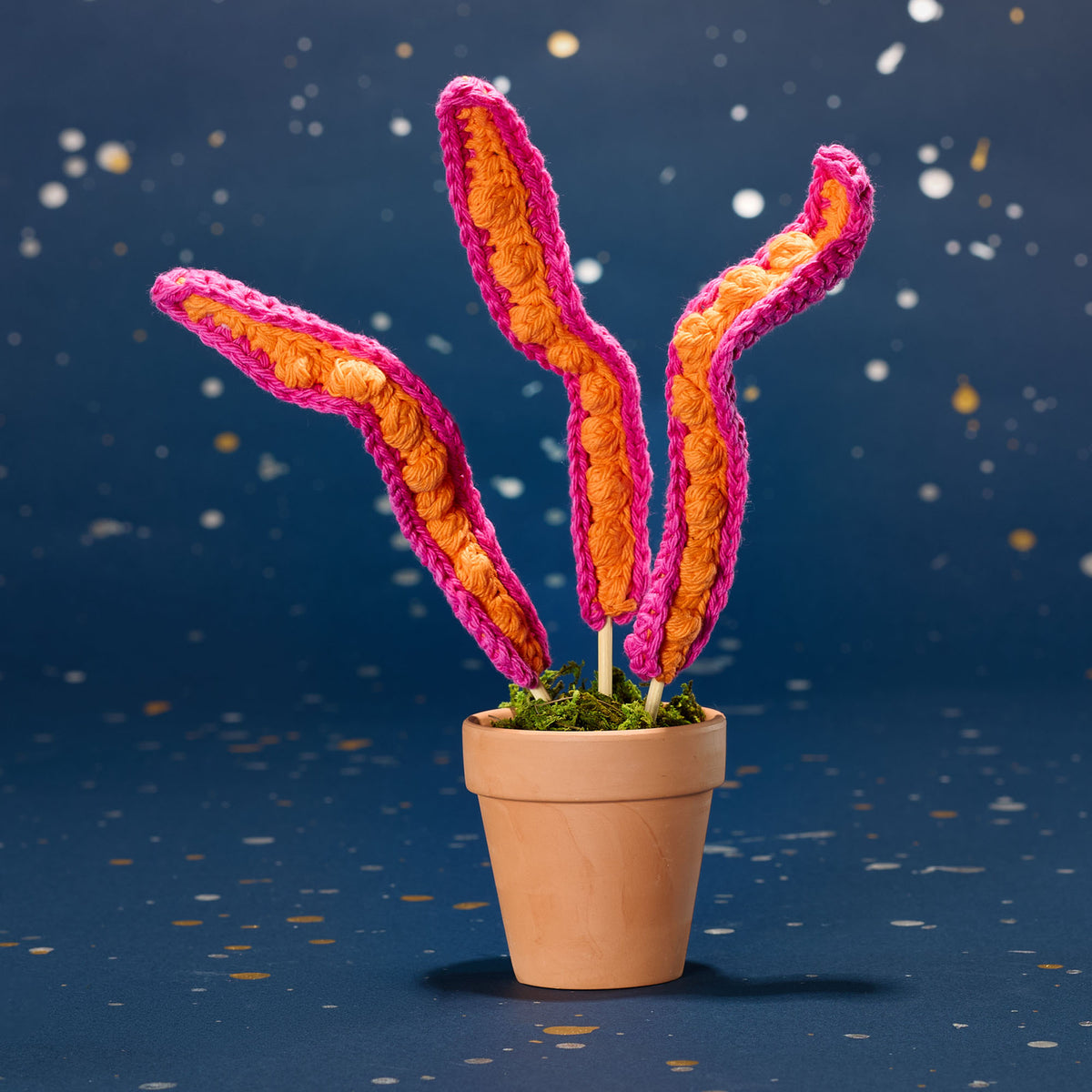 Crochet Plant Tentacles made using Lily yarn in a styled lifestyle setting