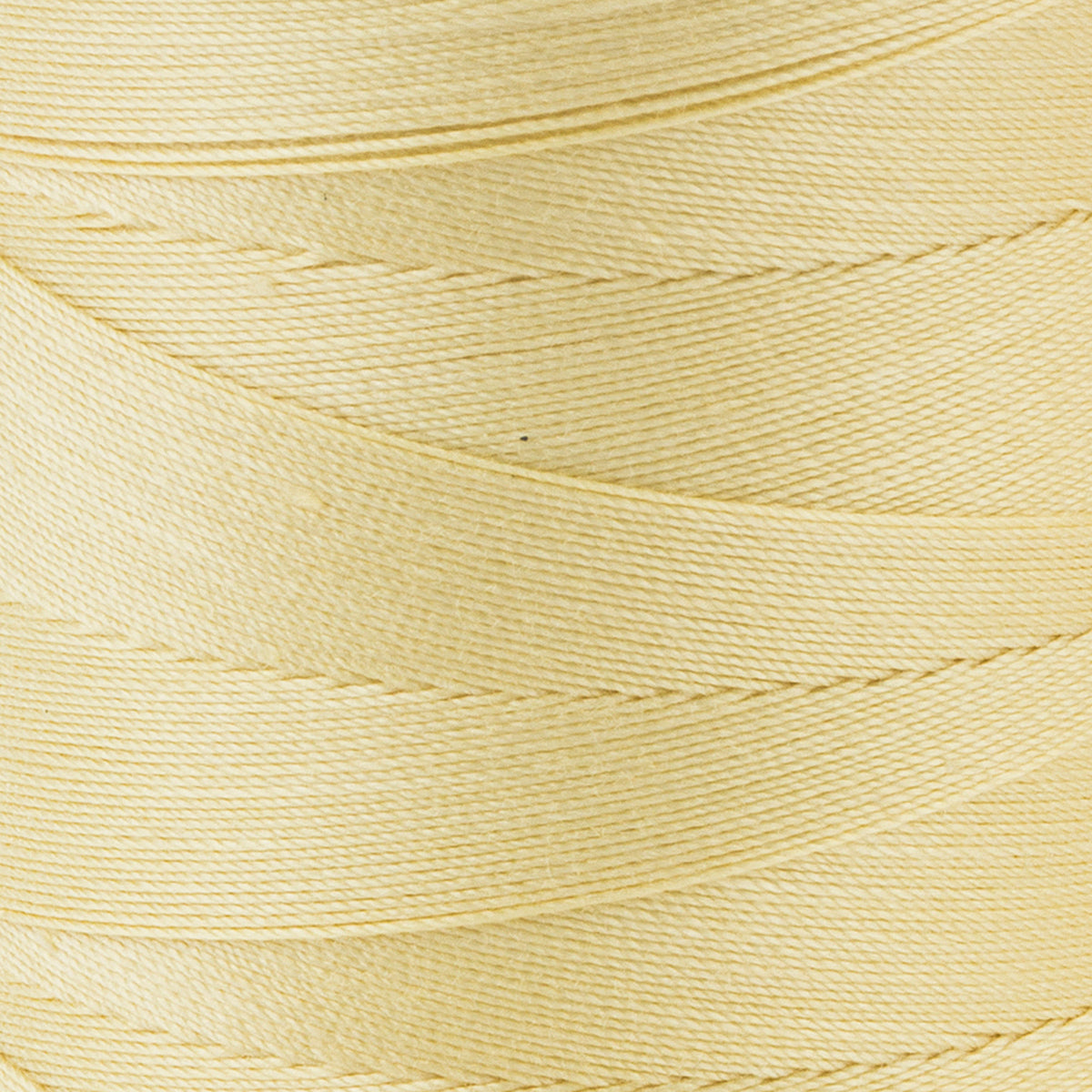 Chamois