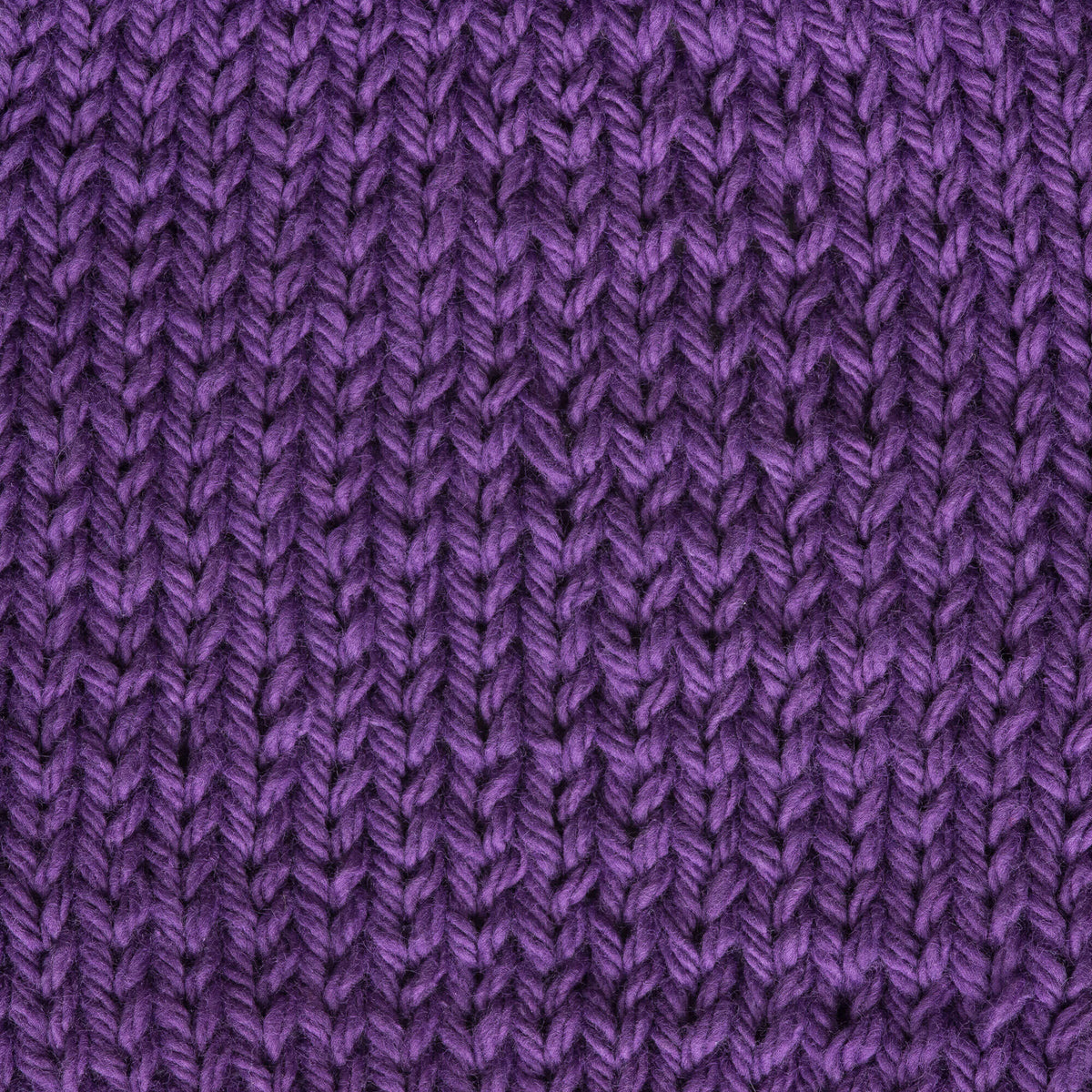 Black Currant