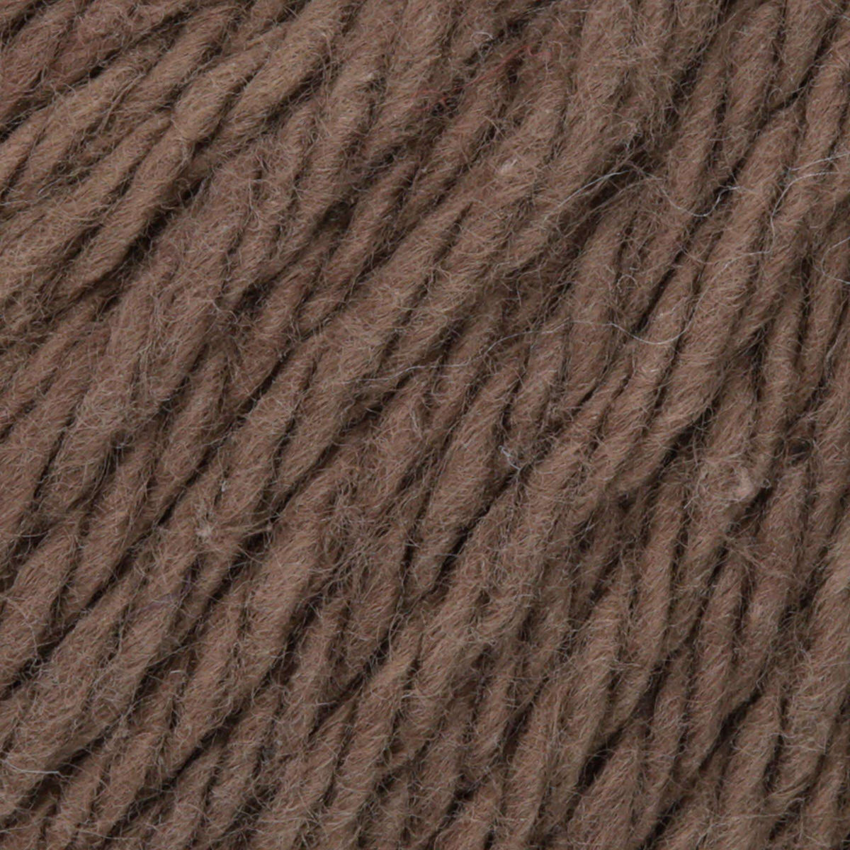 Warm Brown