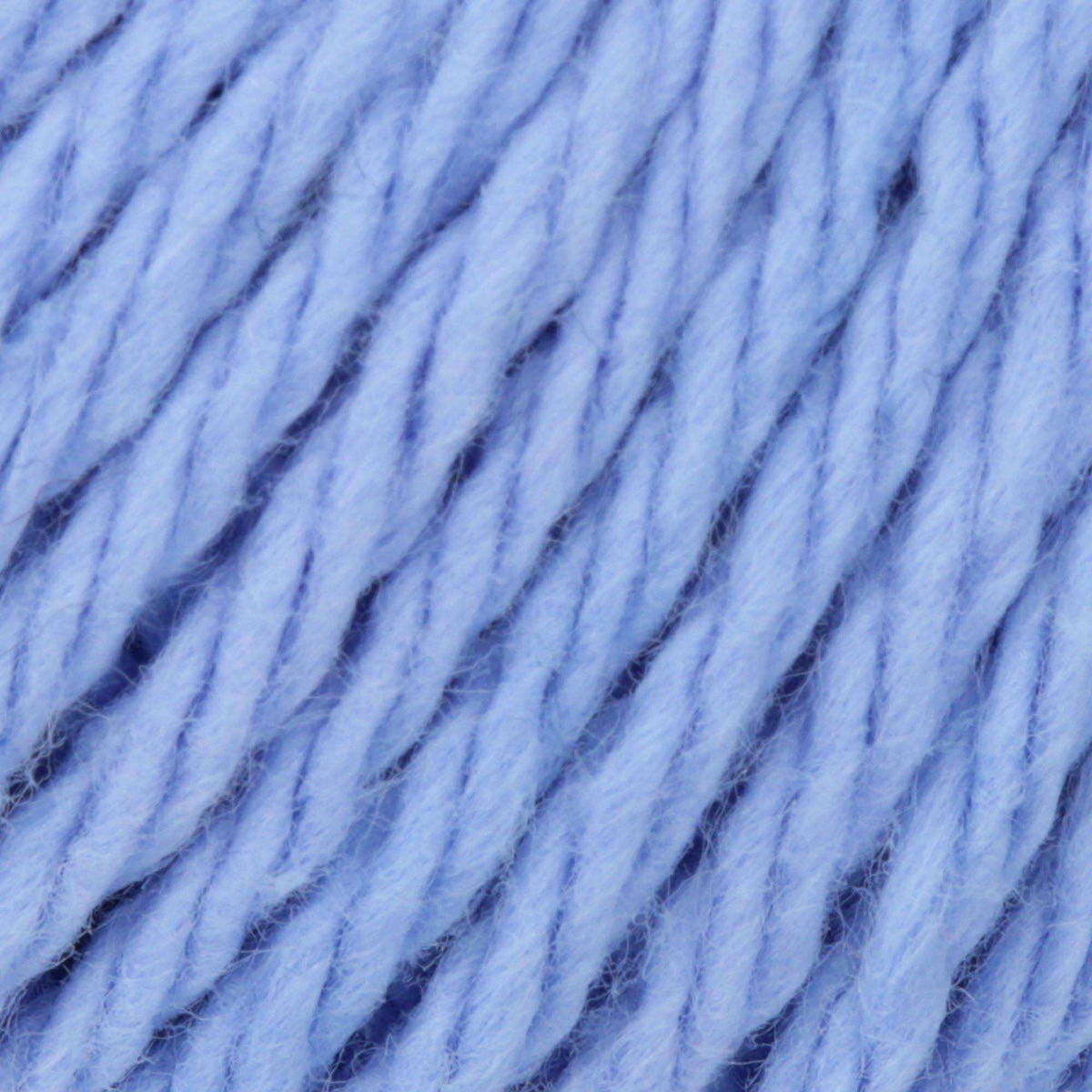 Cornflower