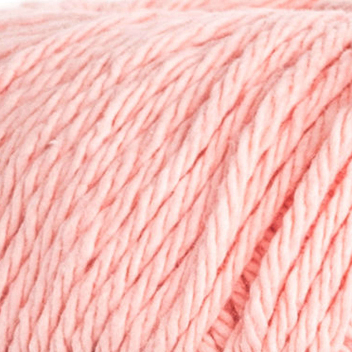 Coral Rose