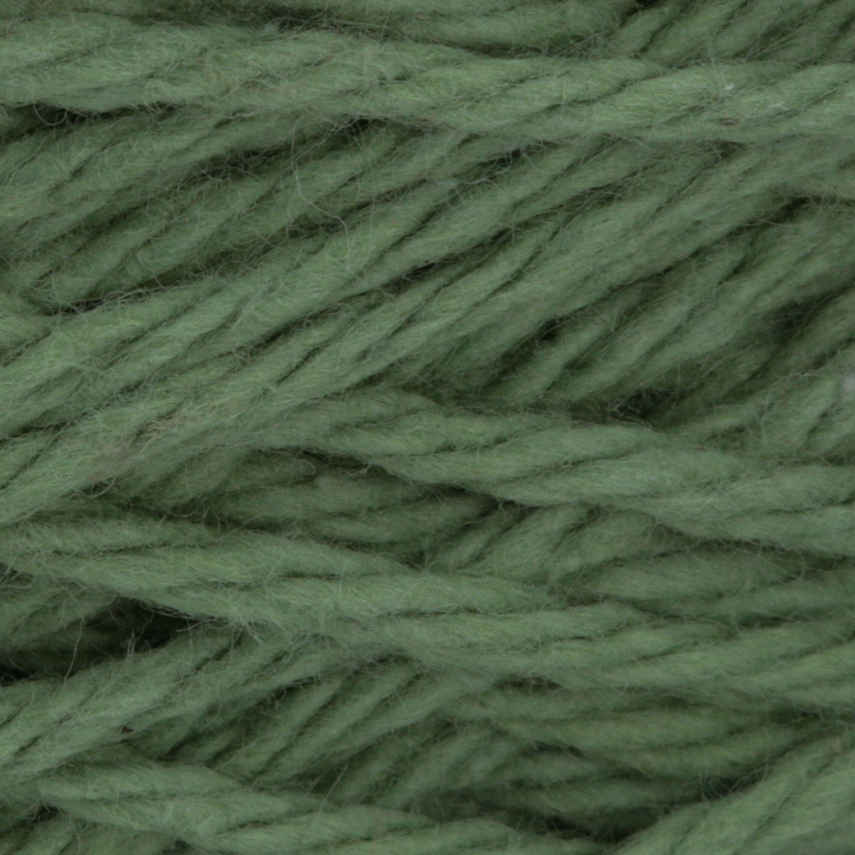 Sage