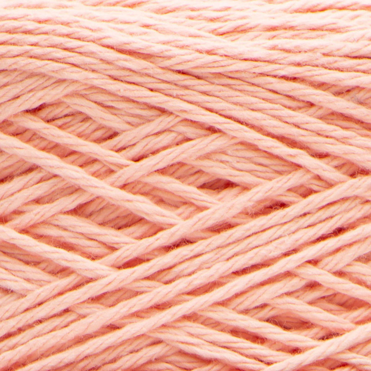 Coral Rose